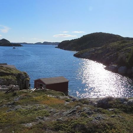 The Old Salt Box Co. - Daisy'S Place Herring Neck Exteriör bild