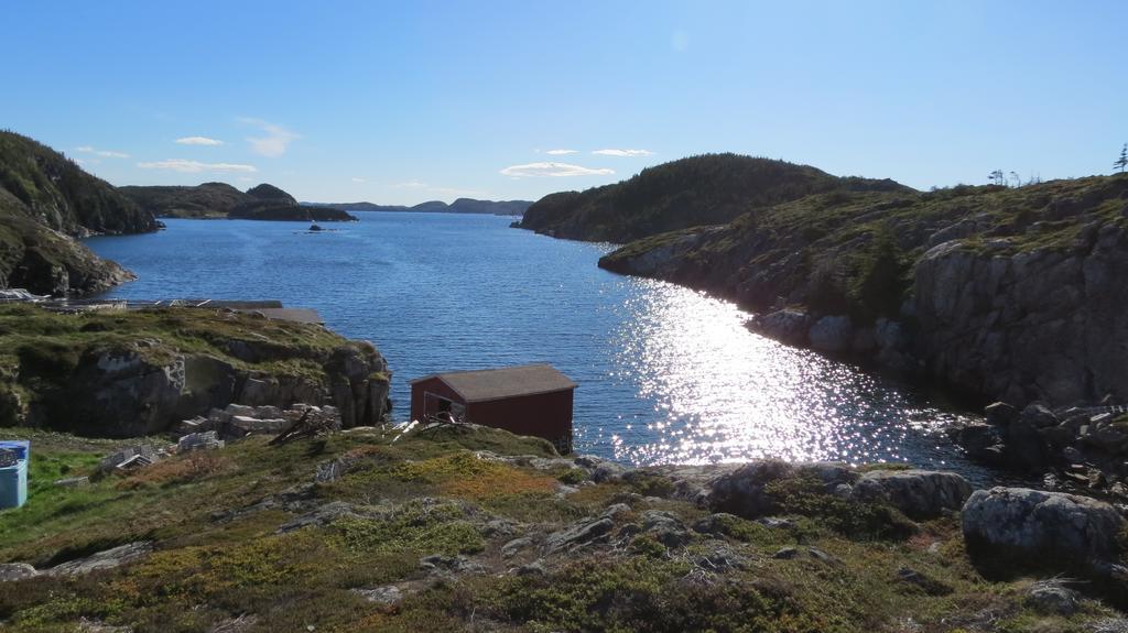 The Old Salt Box Co. - Daisy'S Place Herring Neck Exteriör bild